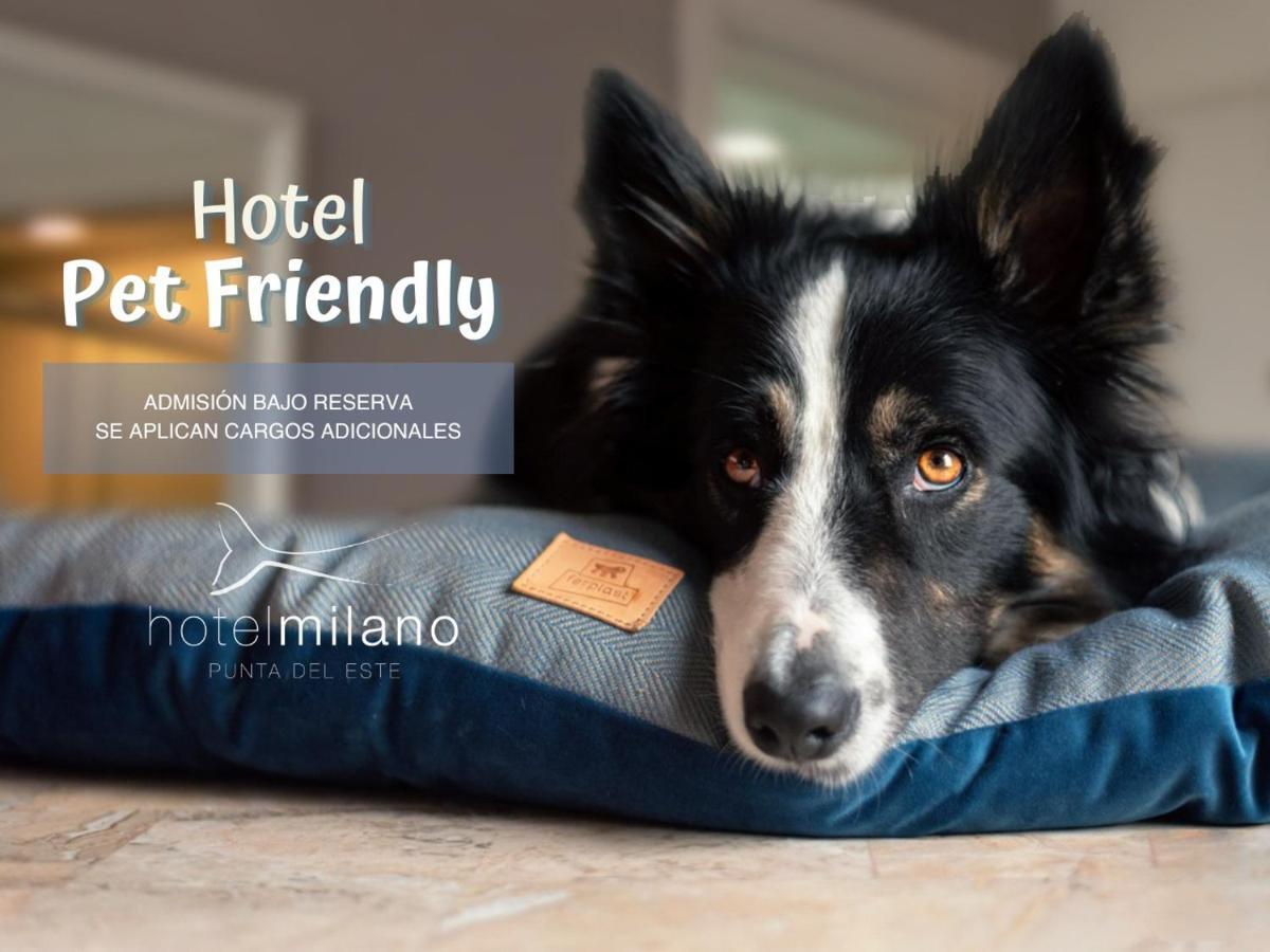 Hotel Milano 푼타델에스테 외부 사진